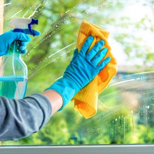 fenster-putzen-mit-essig-und-co,id=2a3b18f0,b=praxisvita,w=1600,rm=sk